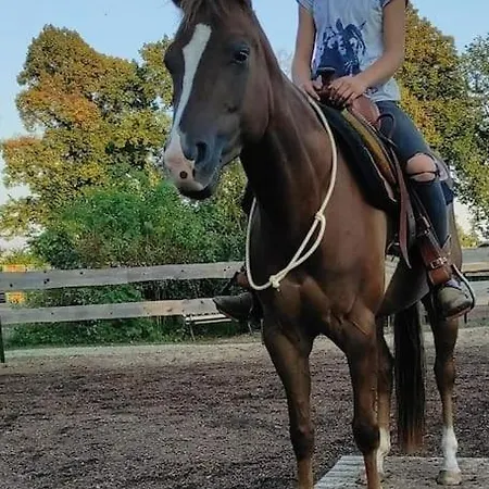 Appartement Reiterhof Am
