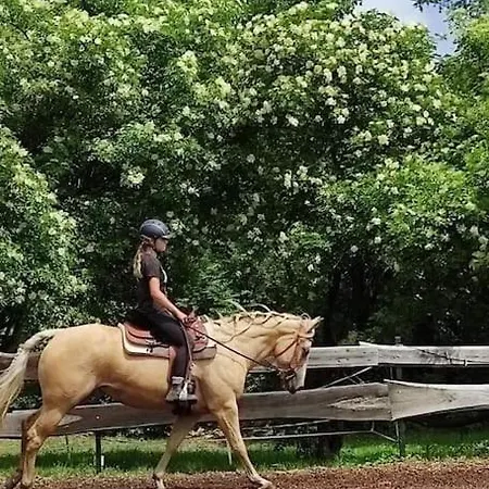 Reiterhof Am Appartement