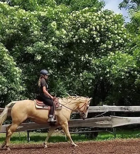Reiterhof Am Apartment